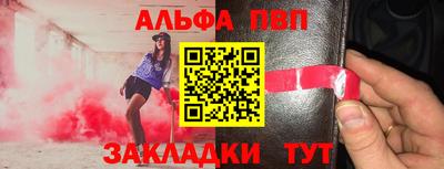 тгк Кингисепп