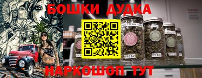 тгк Кингисепп