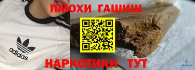 тгк Кингисепп
