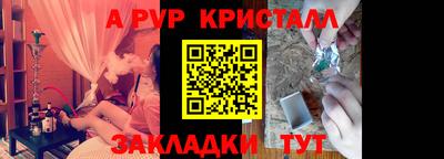 тгк Кингисепп