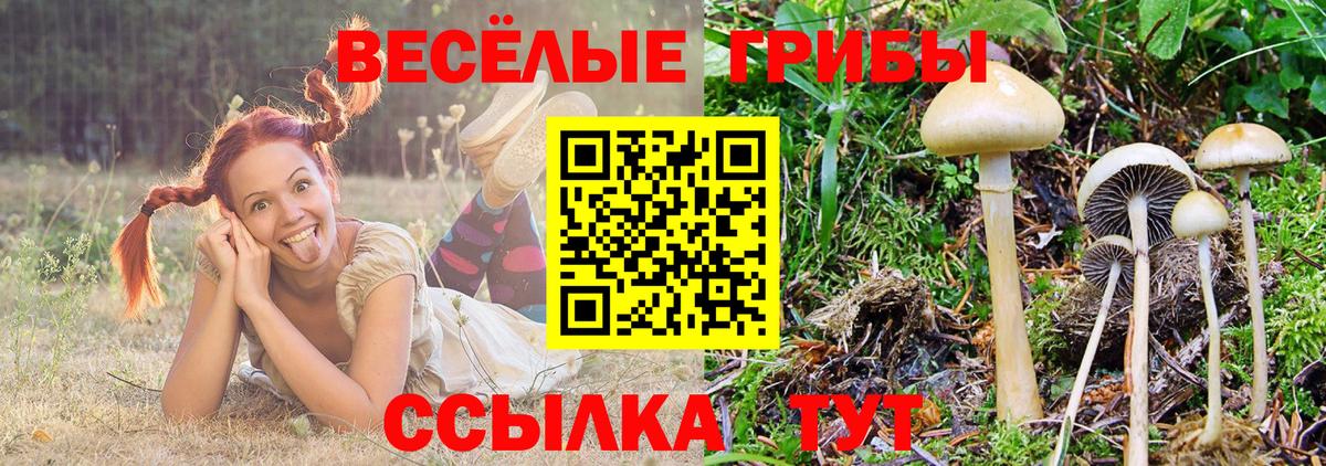 Псилоцибиновые грибы MAGIC MUSHROOMS  Вход с VPN  Красноярск 